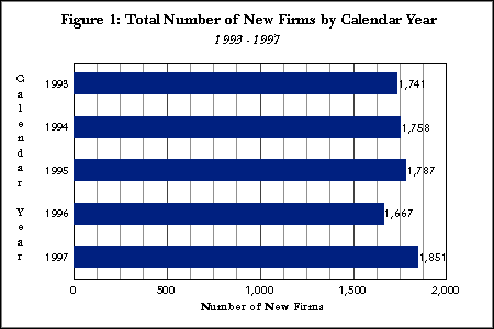 Figure 1:  Total Number of New Firms by Calendar Year