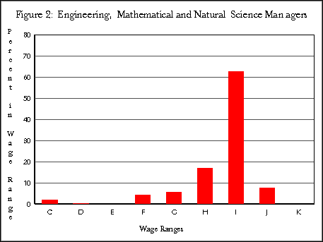 Figure 2: Engineering, Mathematical, and Natural Sciences Managers