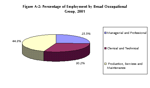 Figure A-2: Percentage of Employment by Broad Occupational Group, 2001