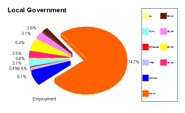 The Major Industry Divisions of Local Government