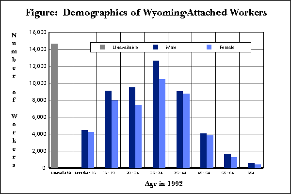 Figure:  Demographics of Wyoming-Attached Workers