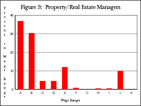 Figure 3: Property/Real Estate Managers