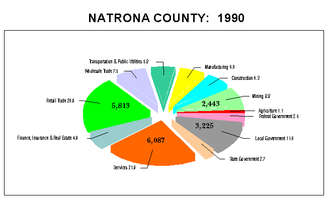 Natrona County Employment by Industry: 1990