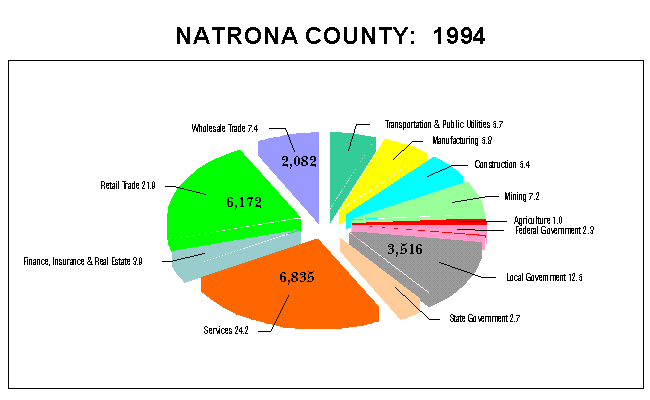 Natrona County Employment by Industry: 1994
